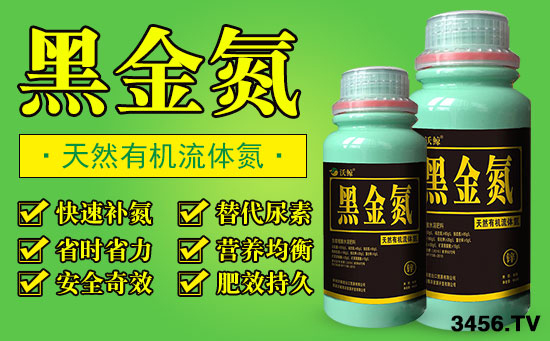 震惊:狂风暴风摧残,玉米倒伏大片!它居然挺挺玉立! 震惊:狂风暴风摧残,玉米倒伏大片!它居然挺挺玉立!