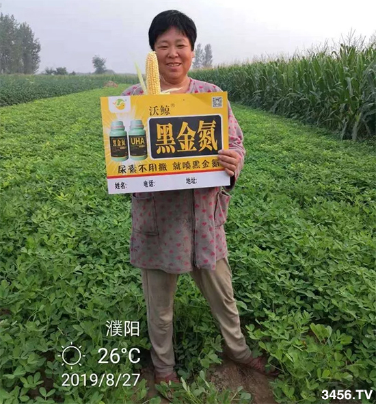 沃鲸在行动!濮阳报道:喷施沃鲸黑金氮,农户喜笑颜开,丰收在望! 沃鲸在行动!濮阳报道:喷施沃鲸黑金氮,农户喜笑颜开,丰收在望!
